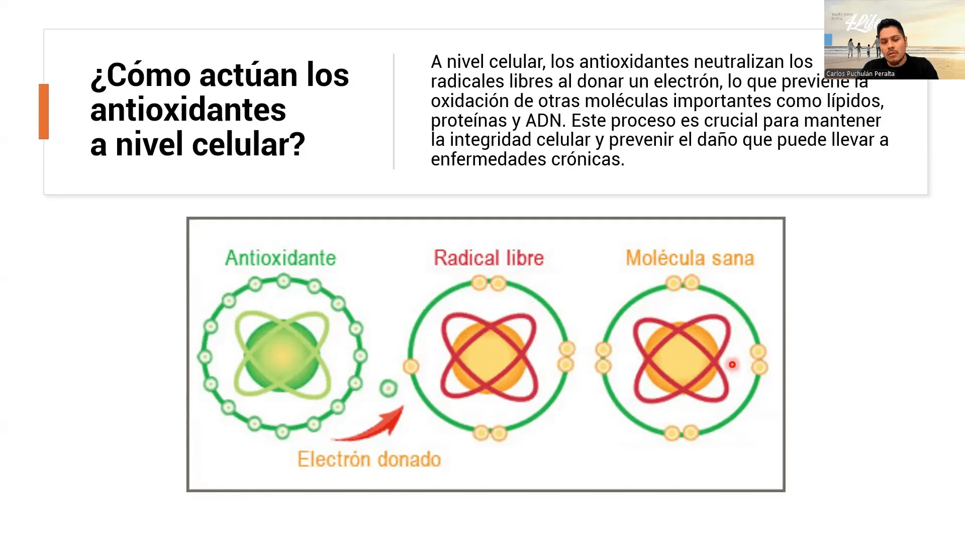 Mecanismo de acción de los antioxidantes a nivel celular