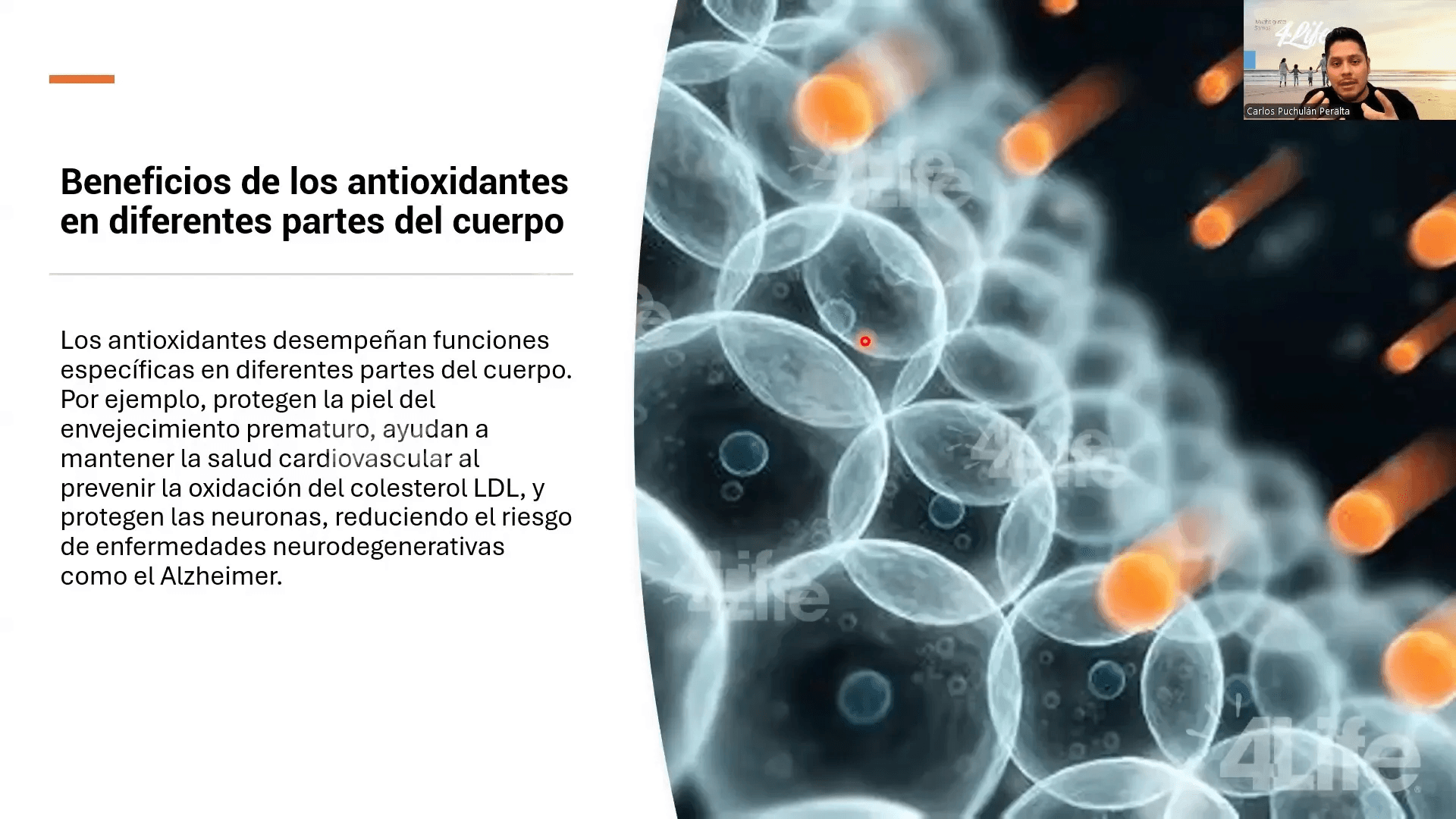 Beneficios de los antioxidantes en el cuerpo